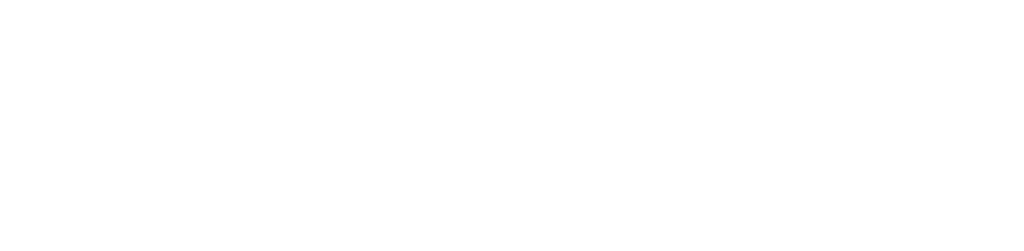vimigo for CEO · Direction and company blueprint