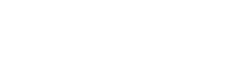 vimigo for CEO