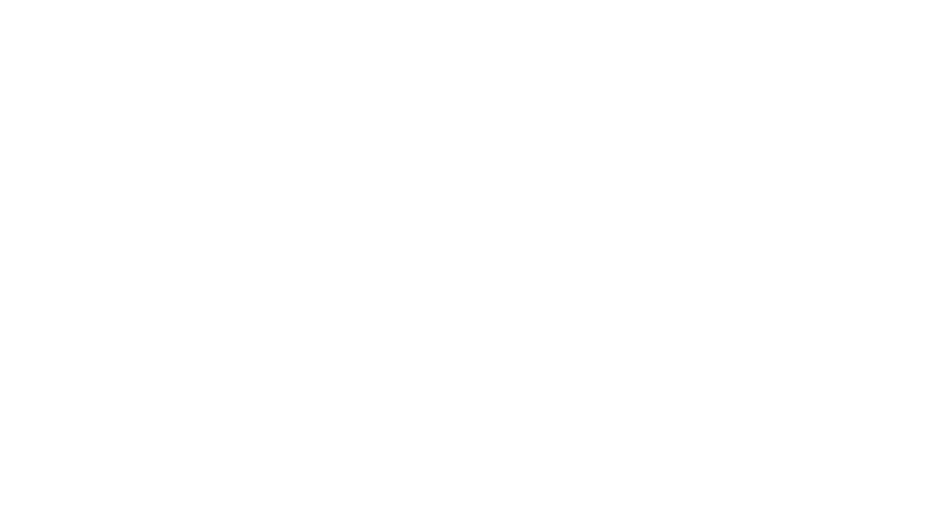 CVO Programme
