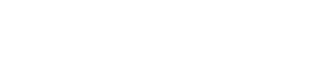 vimigo Software